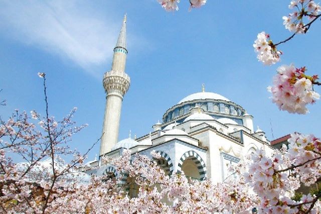 Tokyo-mosque