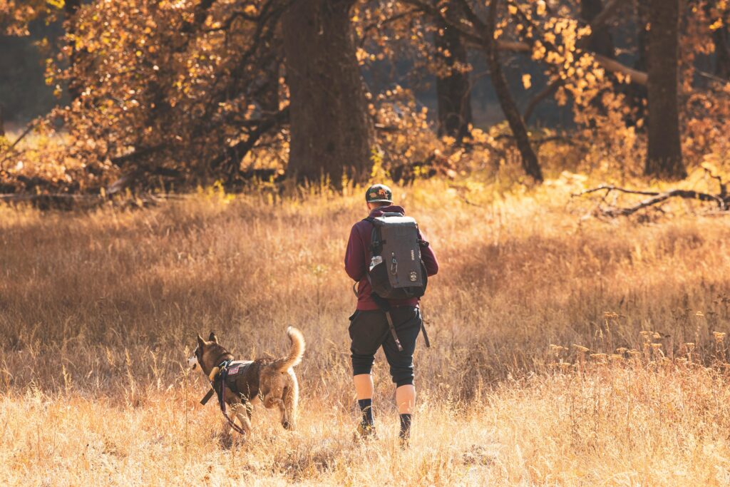 pexels-photo-29013591-29013591-1 pexels-photo-29013591-29013591.jpg